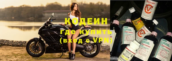 СК Белокуриха