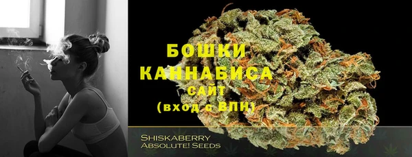 таблы Богданович